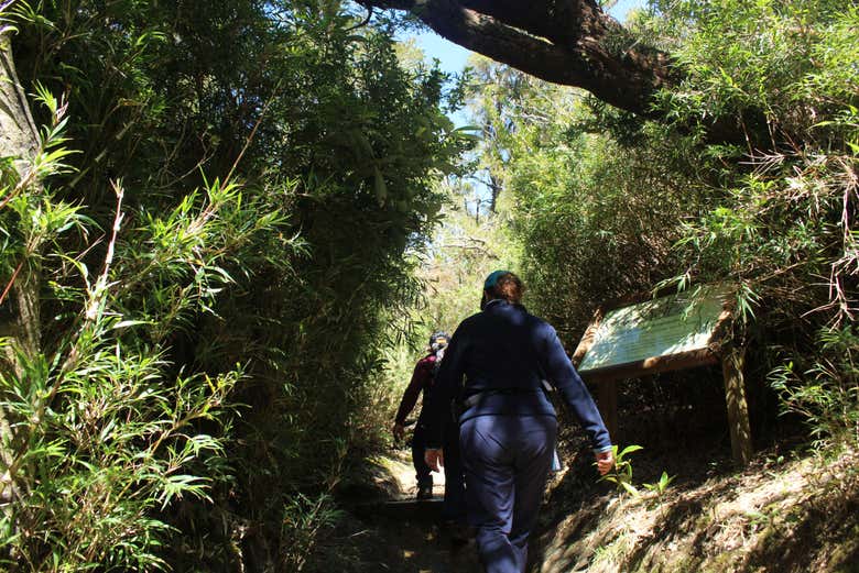 Senderismo por el Parque Oncol