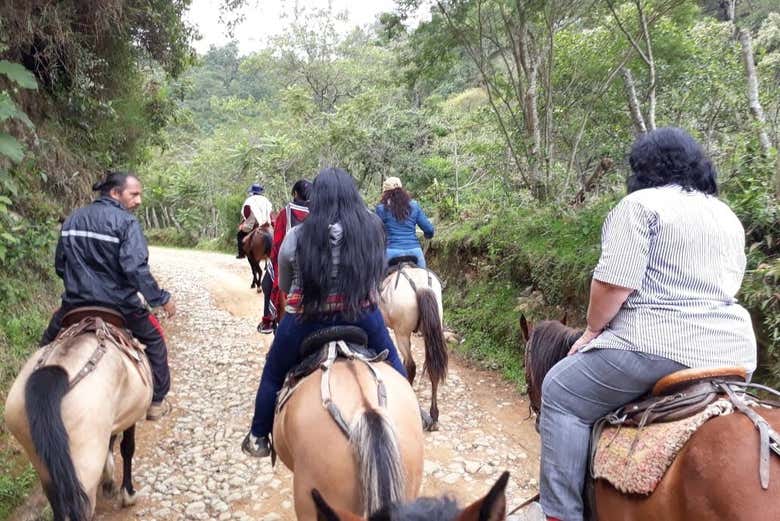 Paseo a caballo por Silvia