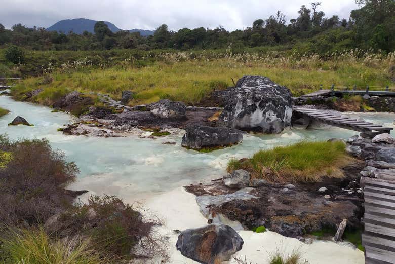 Excursión al Parque Nacional Puracé + Avistamiento del cóndor andino