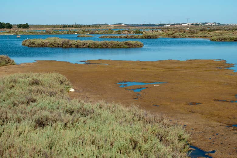 Paseo en barco por la ría de Isla Cristina