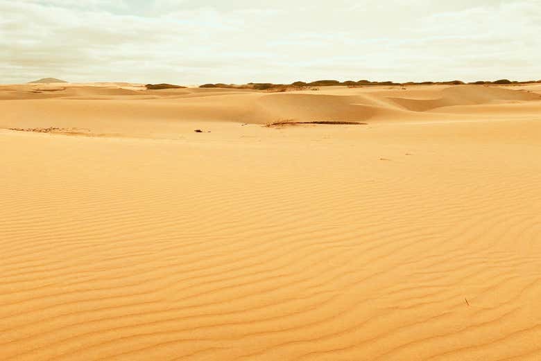 Playa de Santa Mónica, desierto de Viana y cuevas de Varandinha