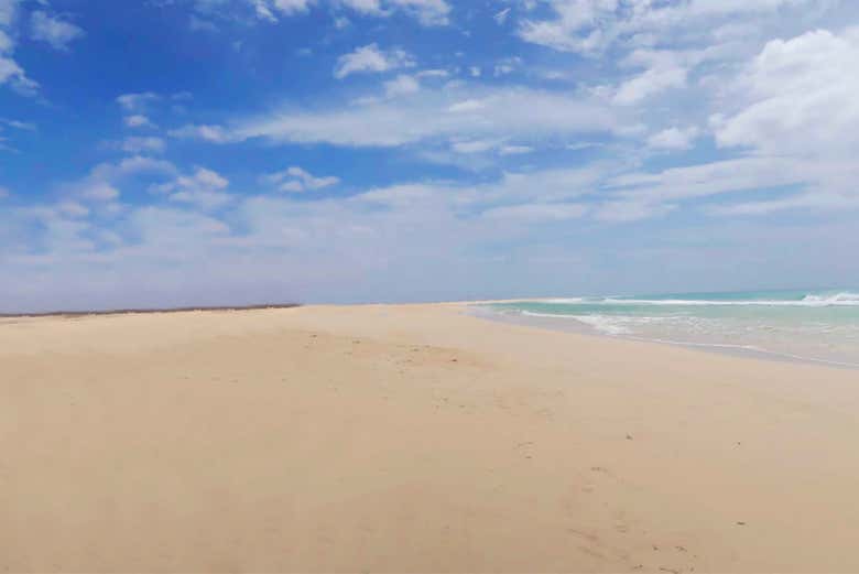 Tour por el noreste de Boa Vista + Playa de Ervatão