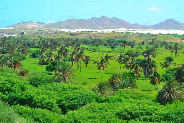 Tour por el noreste de Boa Vista + Playa de Ervatão
