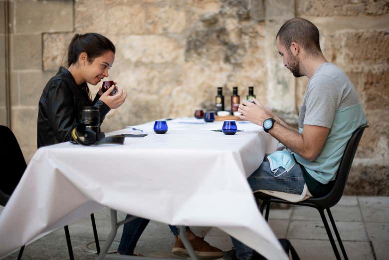 Visita a un olivar y una almazara + Cata de aceites