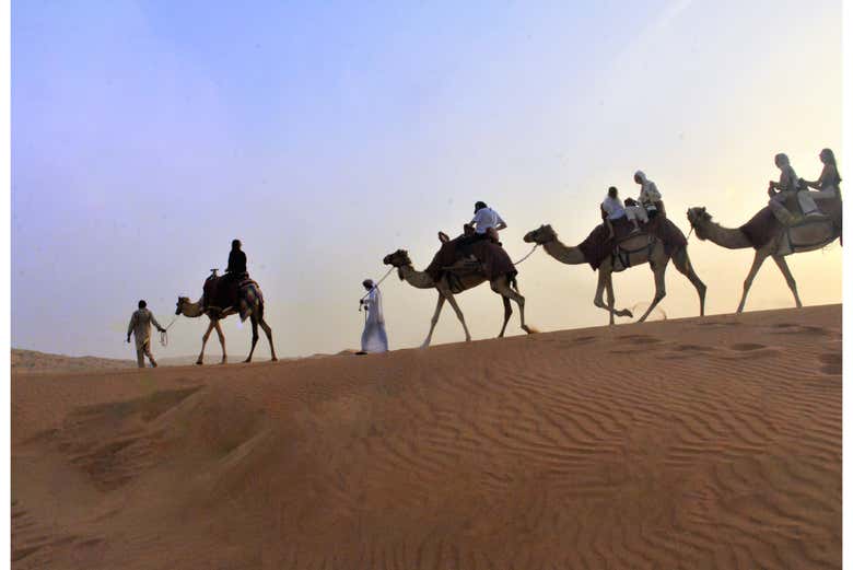 Desert Safari con cena y espectáculo - Galería 1