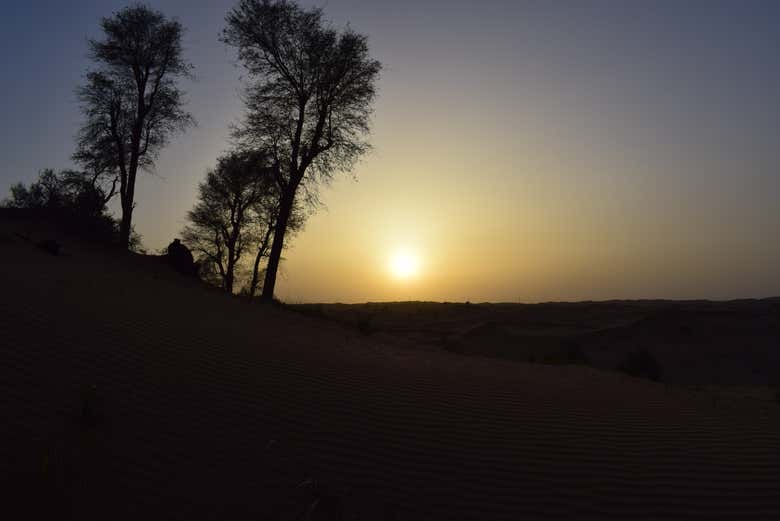 Desert Safari con cena y espectáculo - Galería 2
