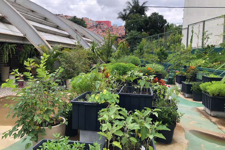 Tour privado por la favela de Paraisópolis - Galería 2