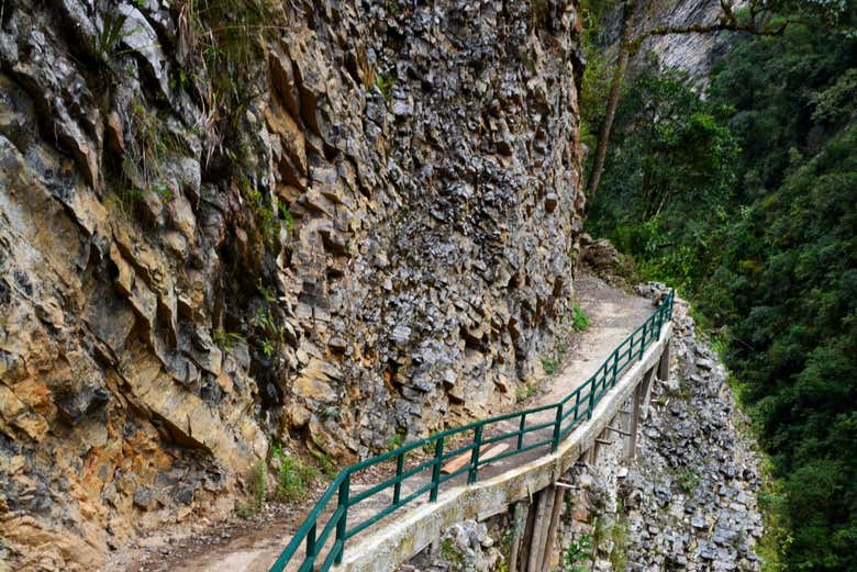 Excursión a la catarata Yumbilla
