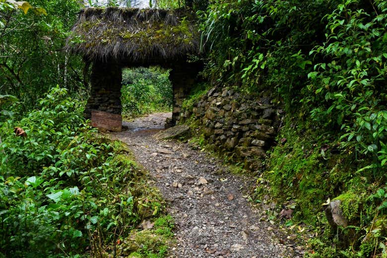 Excursión a la catarata Yumbilla