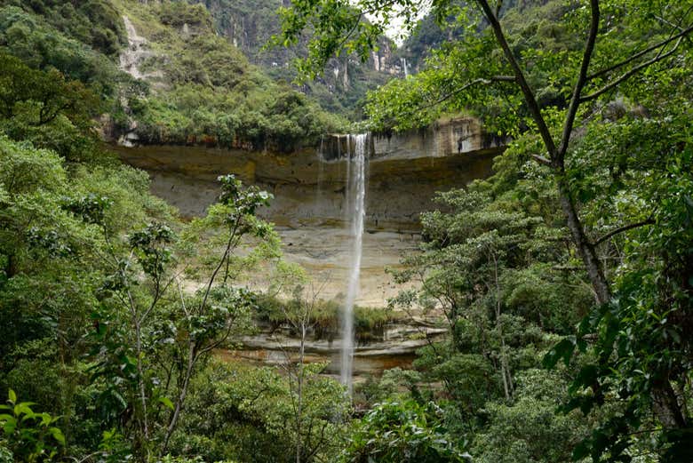 Excursión a la catarata Yumbilla
