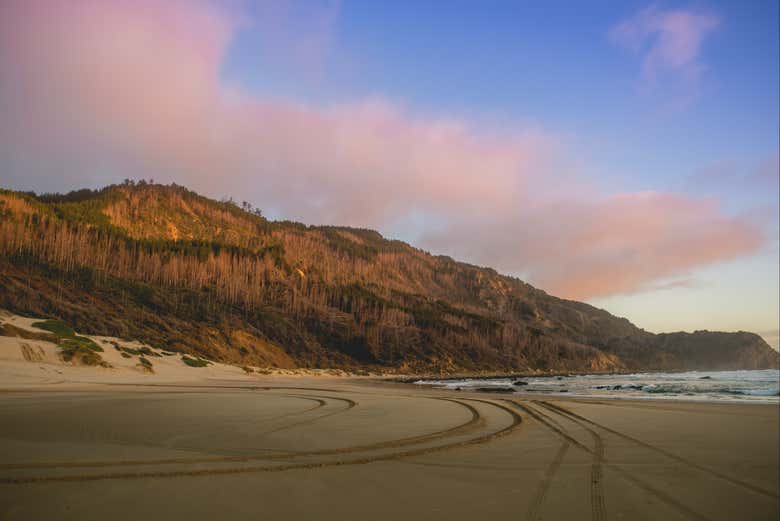 Excursión al golfo de Arauco y sus playas