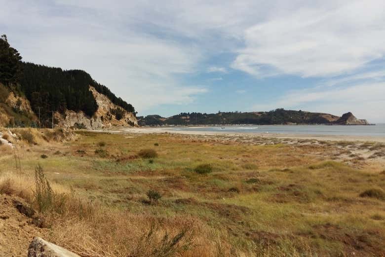 Excursión al golfo de Arauco y sus playas - Galería 1