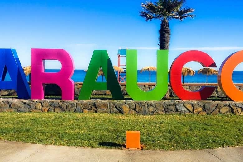 Excursión al golfo de Arauco y sus playas