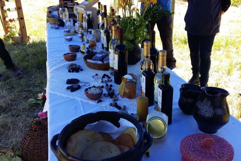 Tour de viñedos y bodegas por el valle de Itata