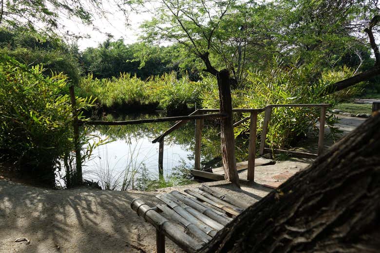 Excursión a las termas El Volcán