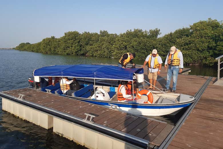 Tour por la Ciénaga Grande de Santa Marta