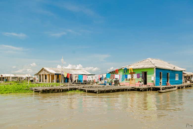 Tour por la Ciénaga Grande de Santa Marta