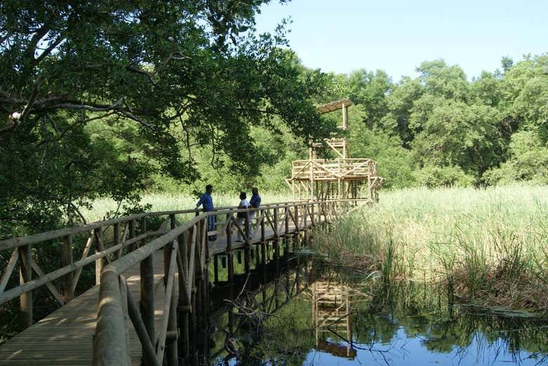 Senderismo por la Vía Parque Isla de Salamanca