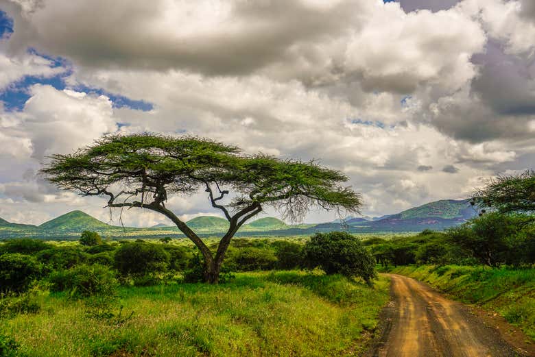 Safari de 6 días por Amboseli, Tsavo East y Tsavo West