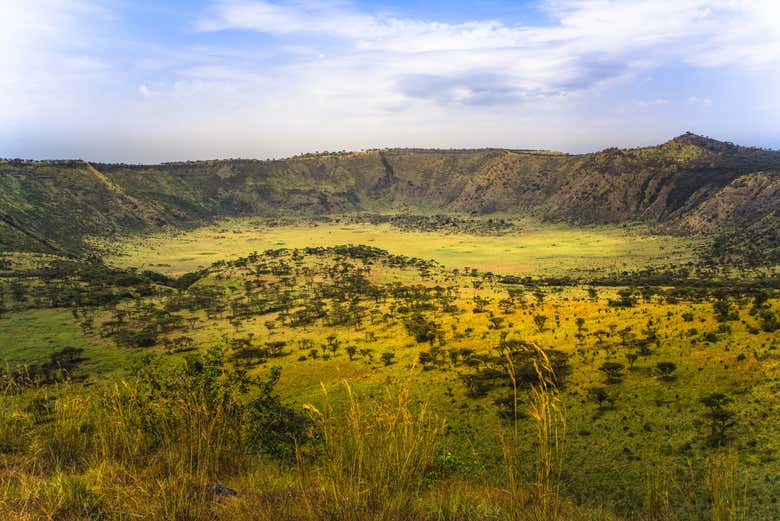 Safari de 5 días por el Parque Nacional de la Reina Isabel