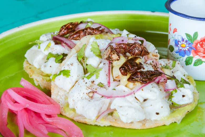 Tour gastronómico por Cancún