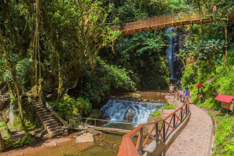 Excursión a la catarata Río Tigre