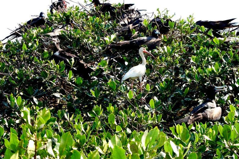 Excursión a Tumbes