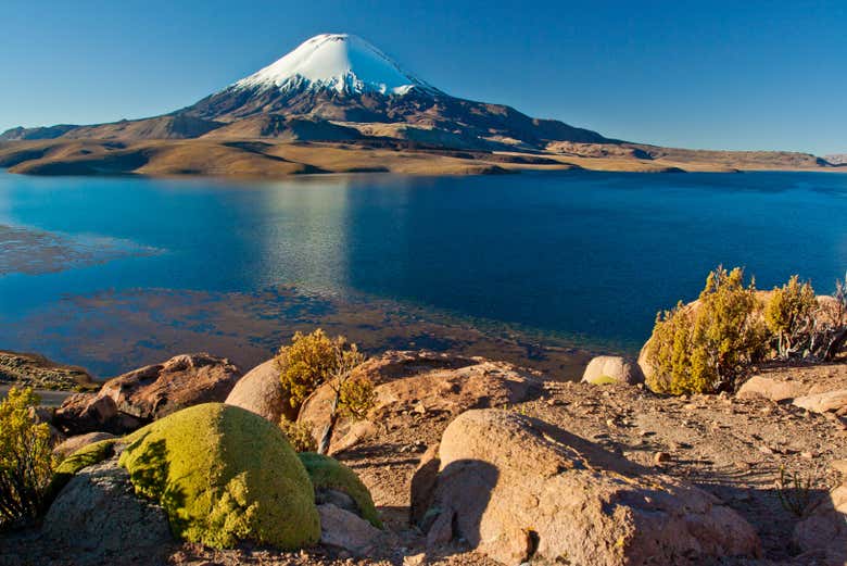 Excursión al lago Chungará