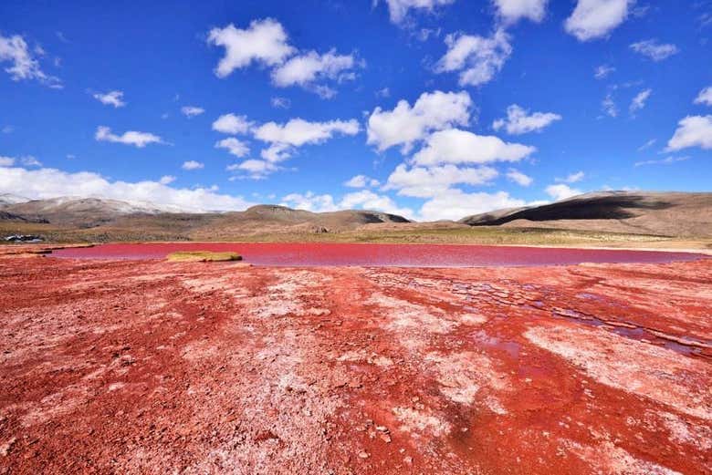 Excursión a la laguna Roja
