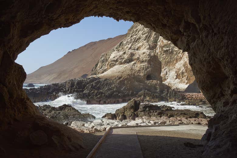 Tour por Arica y el valle de Azapa