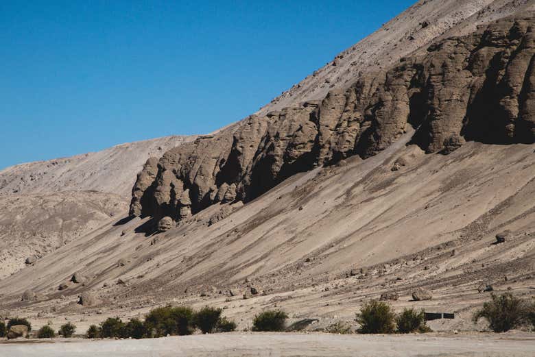 Tour por Arica y el valle de Azapa