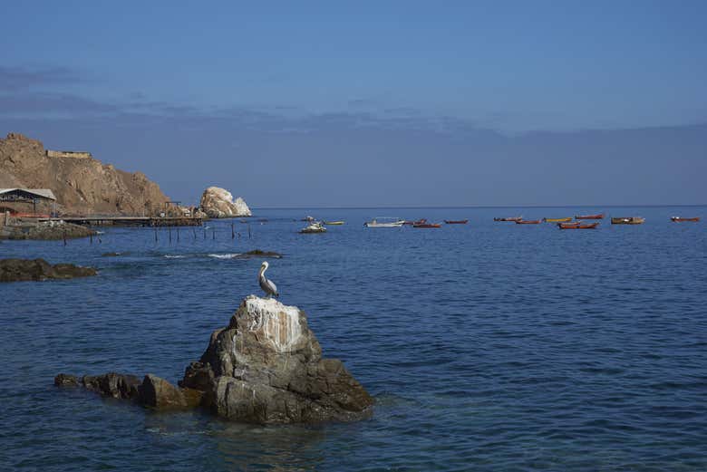 Excursión a Pisagua