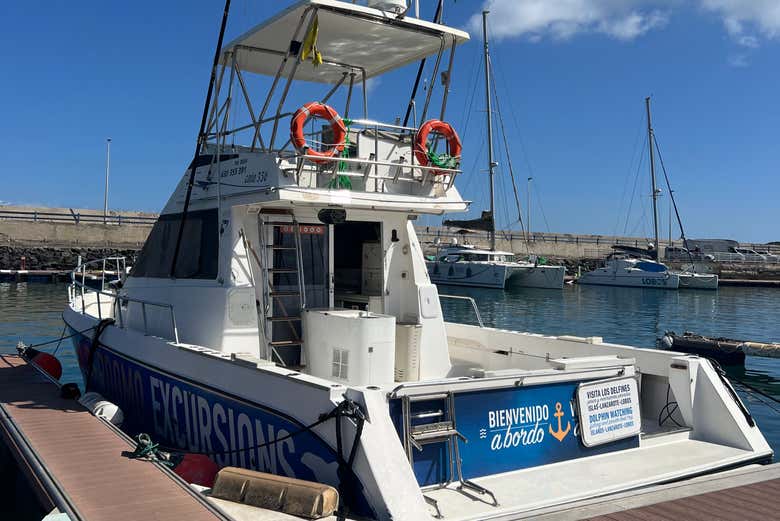 Paseo en barco con avistamiento de cetáceos por Corralejo