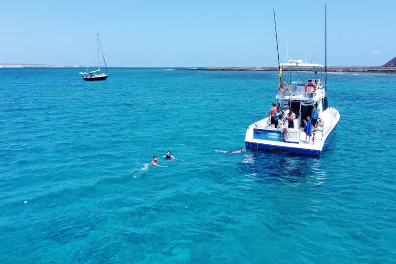 Paseo en barco con avistamiento de cetáceos por Corralejo