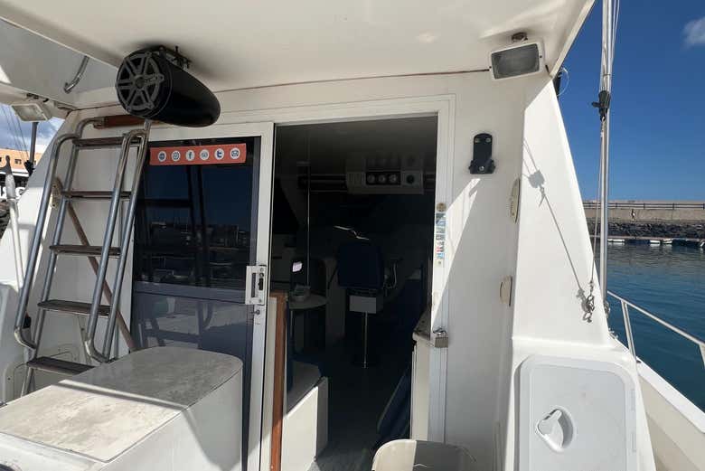 Paseo en barco con avistamiento de cetáceos por Corralejo
