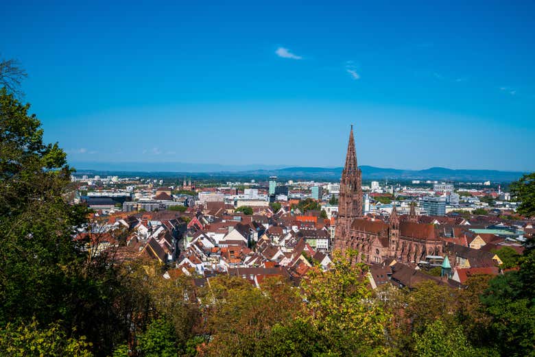 Visita guiada por Friburgo de Brisgovia