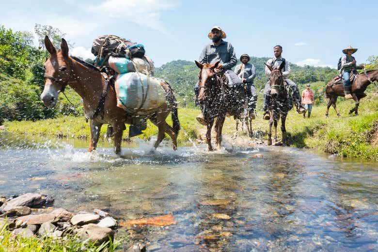 Excursión de 1 o 2 días al río Verde