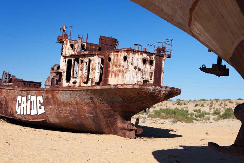 Excursión privada de 2 días al Mar de Aral y cementerio de barcos - Galería 2
