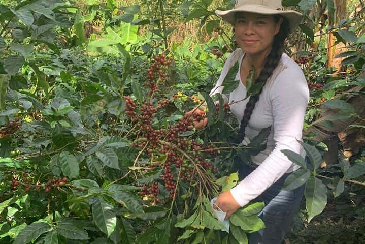 Tour del café por San Marcos de Tarrazú - Galería 2