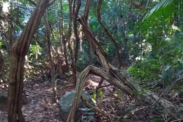 Senderismo por el Pan de Azúcar