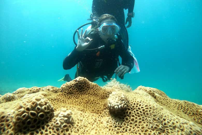 Bautismo de buceo en Paraty