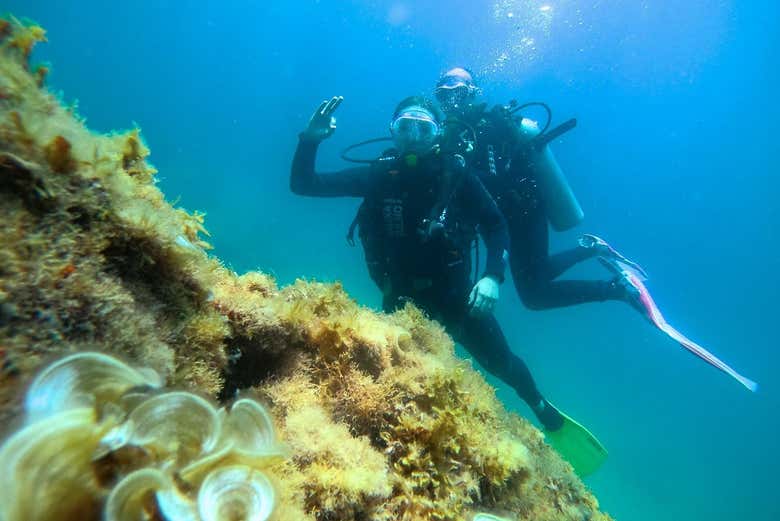 Bautismo de buceo en Paraty