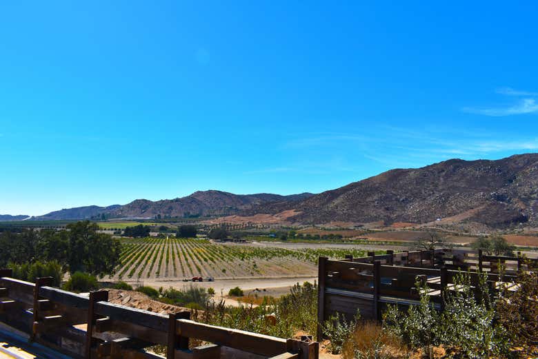 Excursión privada desde Tijuana - Galería 1