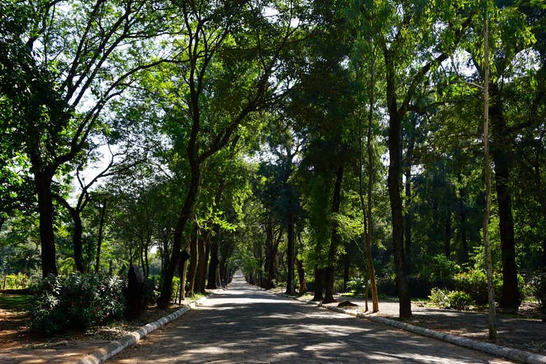 Tour por el Jardín Botánico de Asunción