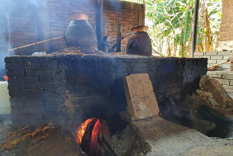 Tour del mezcal por Santa Catarina Minas