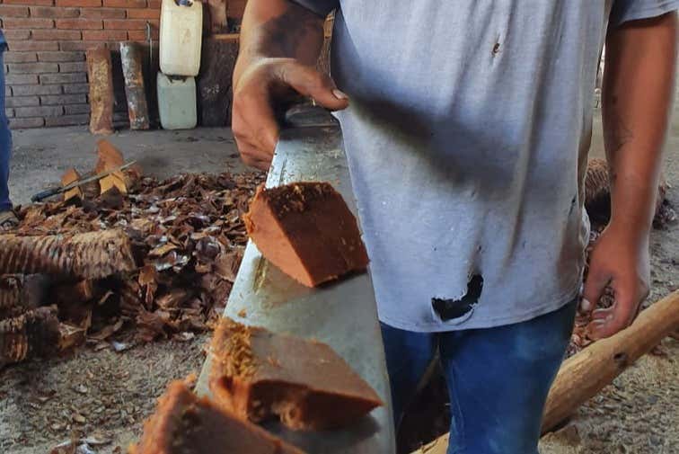 Tour del mezcal por Santa Catarina Minas