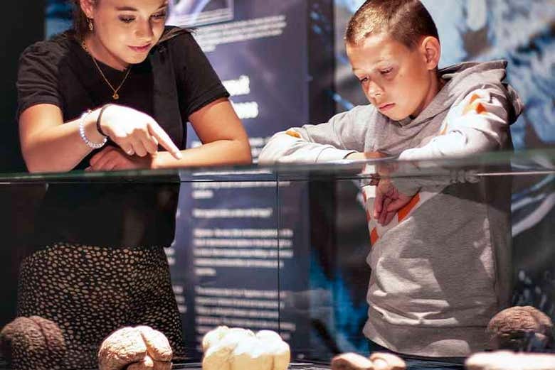 Entrada a Body Worlds