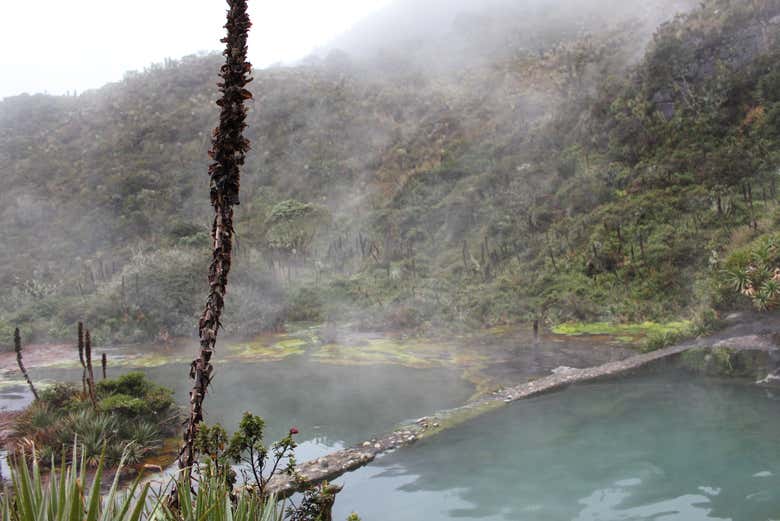 Ruta privada de senderismo por el Valle de los Frailejones