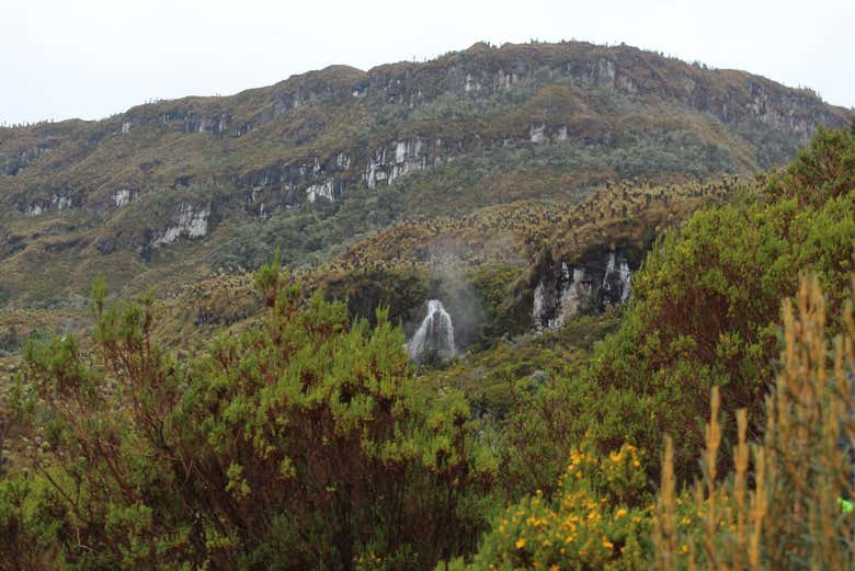 Ruta privada de senderismo por el Valle de los Frailejones