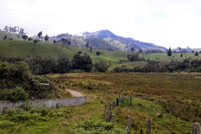 Ruta privada de senderismo por El Bosque + Termales de Canaán - Galería 2